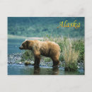 Recherche de kodiak alaska cartes postales Brun