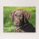 Recherche de chocolat labrador puzzles Retriever