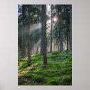 Recherche de schwarzwald posters Forêt noire