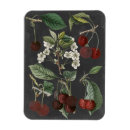 Recherche de verger magnets Fruit