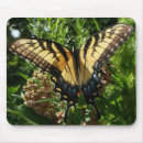 Recherche de papillon coloré tapis souris Toute personne