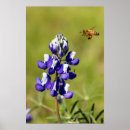 Recherche de fourmi posters Fleur