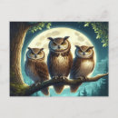 Recherche de petit hibou cartes postales Pour tous