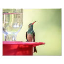 Recherche de animal cases art Faune