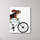 Recherche de basset hound Chiens à bicyclette