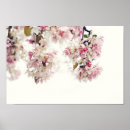 Recherche de fleurs de cerisier posters Arbre rose