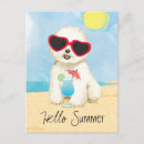 Recherche de bichons cartes postales Bichon frise