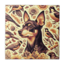 Recherche de broche carreaux Chiot