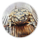 Recherche de grenouille boutons et poignées de porte Animal