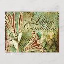 Recherche de lilium cartes postales Fleurs