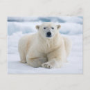 Recherche de groenland posters Faune