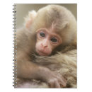 Recherche de singe de bébé carnets Mignon