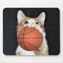 Recherche de chat orange et blanc tapis souris Minou