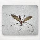 Recherche de entomologie tapis souris Mouche