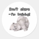 Recherche de chats drôles autocollants Pour amateur de chats