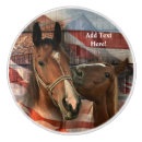 Recherche de américain boutons et poignées de porte Chevaux
