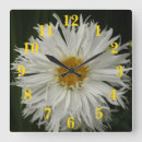 Recherche de fleur blanche horloges Toute personne