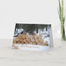 Recherche de tronconneuse cartes postales Bois