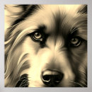 Recherche de yeux de chien posters Dog