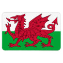 Recherche de drapeau du pays de galles magnets Baleines