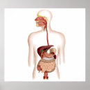 Recherche de bouche humaine posters Médical