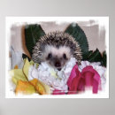 Recherche de hedgehog posters Nature