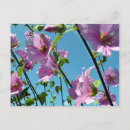 Recherche de jardin anglais cartes postales Été