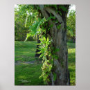 Recherche de palm tree posters Green