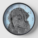 Recherche de terre neuve horloges Noir