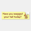 Recherche de wagger de queue Chien