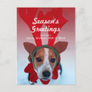 Recherche de froid cartes postales Chien