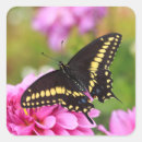 Recherche de machaons Pour elle