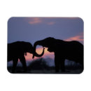 Recherche de parc national chobe magnets Éco tourisme