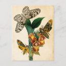 Recherche de nymphes cartes postales Fleurs