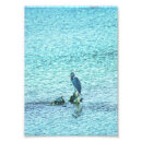 Recherche de le penseur posters Animal