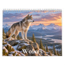 Recherche de loup calendriers Photographie de loup