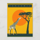 Recherche de tanzanie cartes postales Girafe