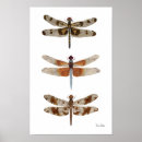 Recherche de libellule posters Insecte