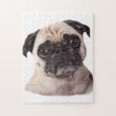 Recherche de beau chien puzzles Mignon