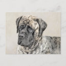 Recherche de mastiff cartes postales Dog