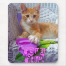 Recherche de griffes tapis souris Chat