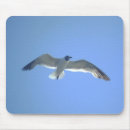 Recherche de mouette tapis souris Faune