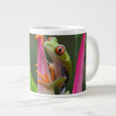 Recherche de yeux verts tasses Faune