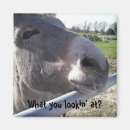 Recherche de d âne magnets Ânes