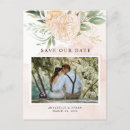 Recherche de floral rose cartes postales Feuillage