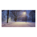 Recherche de neige couverte posters Arbre