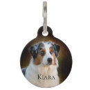 Recherche de berger australien Chien