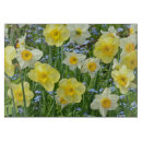 Recherche de jonquille planches à découper Nature