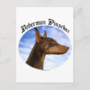 Recherche de pinscher dobermann cartes postales Dobère