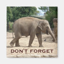 Recherche de éléphant asiatique invitations Animal sauvage